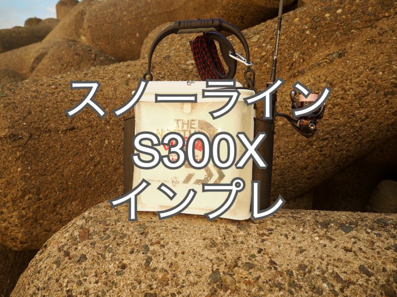 ☆ ダイワ DAIWA クーラーボックス スノーライン 300