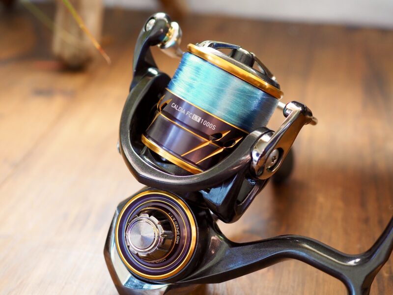 89％以上節約 DAIWA ダイワ 21 カルディア FC LT 1000S fawe.org